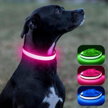 Led Pet Collar for Your Dogs - Keep Your Dogs Visible at Night