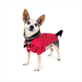 Led Pet Dress: Pet Clothes with Colorful LED Lights