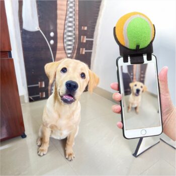 Pooch Selfie: Pet Universal Selfie Stick with a free Ball